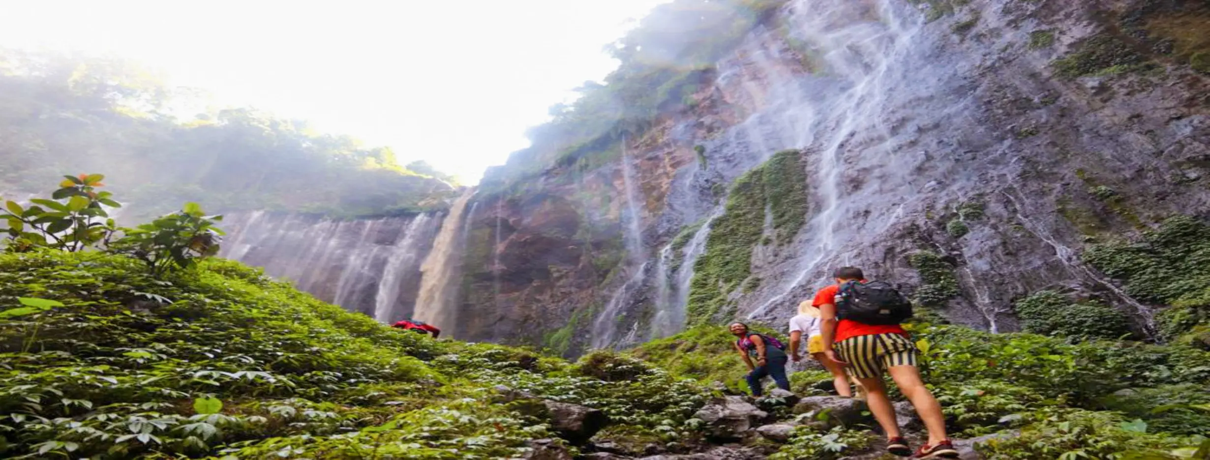 Image for Waterfall Trek